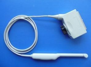 Siemens EC9-4 Endocavity Ultrasound Transducer Probe for Antares